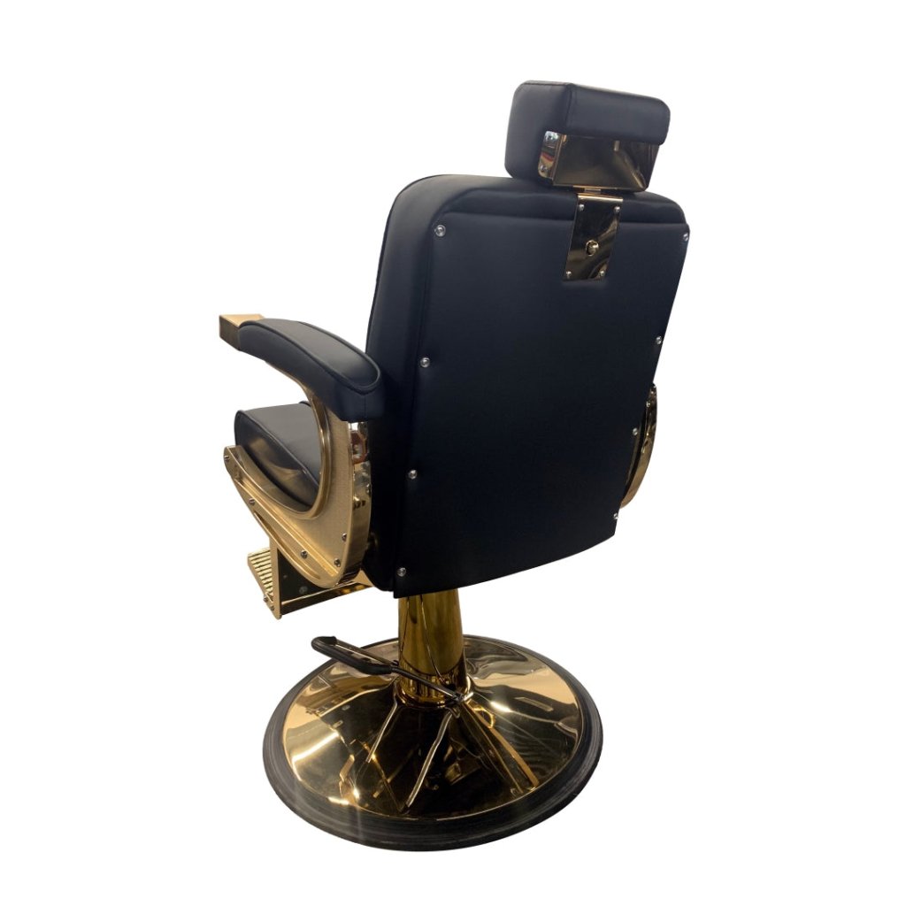 Greenlife ® Ninja Advance Modern Classic Hydraulic Salon Barber Chair - GreenLife - Barber Chair