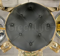 Advanced Premium Antique Golden with Black Salon Barber Chair - BC 951 - GreenLife - Barber chair