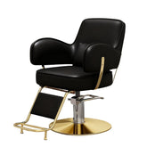 Modern All Purpose Hydraulic Styling Chair - 004 - GreenLife - Styling Chair