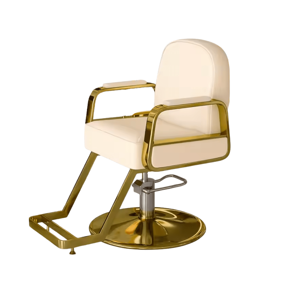 Modern All Purpose Hydraulic Salon Swiveling Styling Chair - GreenLife - Styling Chair