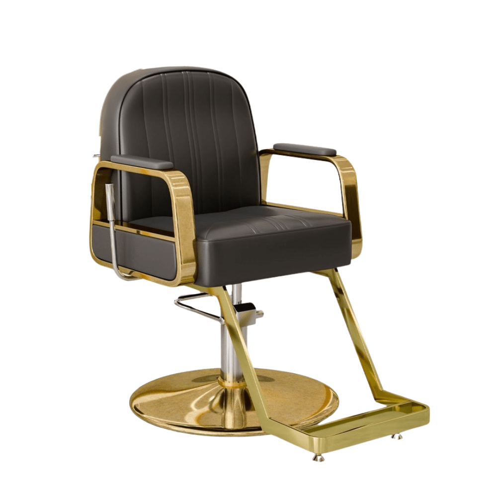 Modern All Purpose Hydraulic Salon Swiveling Styling Chair - GreenLife - Styling Chair
