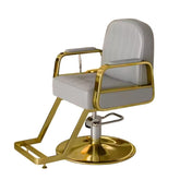 Modern All Purpose Hydraulic Salon Swiveling Styling Chair - GreenLife - Styling Chair