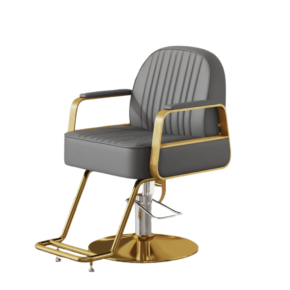 Modern All Purpose Hydraulic Salon Swiveling Styling Chair - GreenLife - Styling Chair