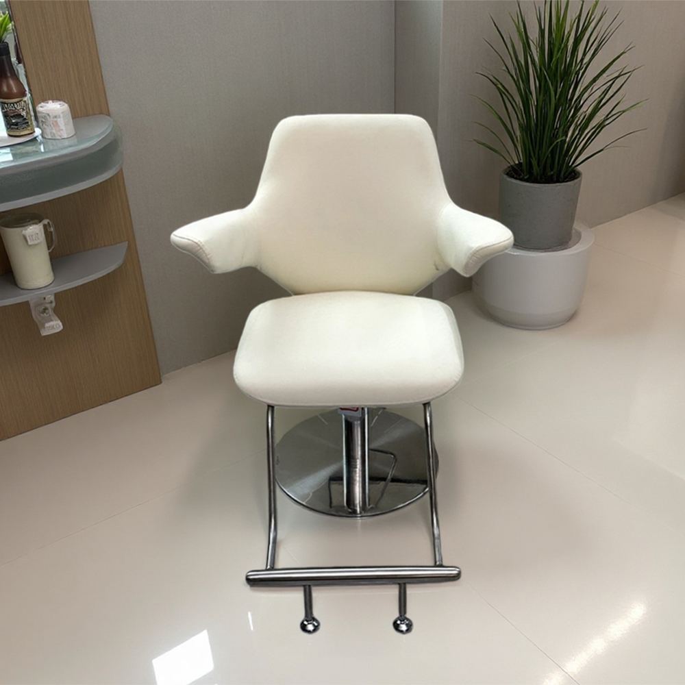 Modern Hydraulic Styling Chairs for Beauty Salon - Greenlife - Styling Chairs