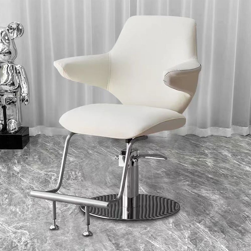 Modern Hydraulic Styling Chairs for Beauty Salon - Greenlife - Styling Chairs