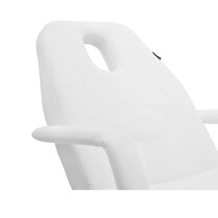 Silverfox 3 - Motor Electric Aesthetics Spa Facial Bed 2263 for Spa Tattoo - GreenLife - Electric Beauty bed