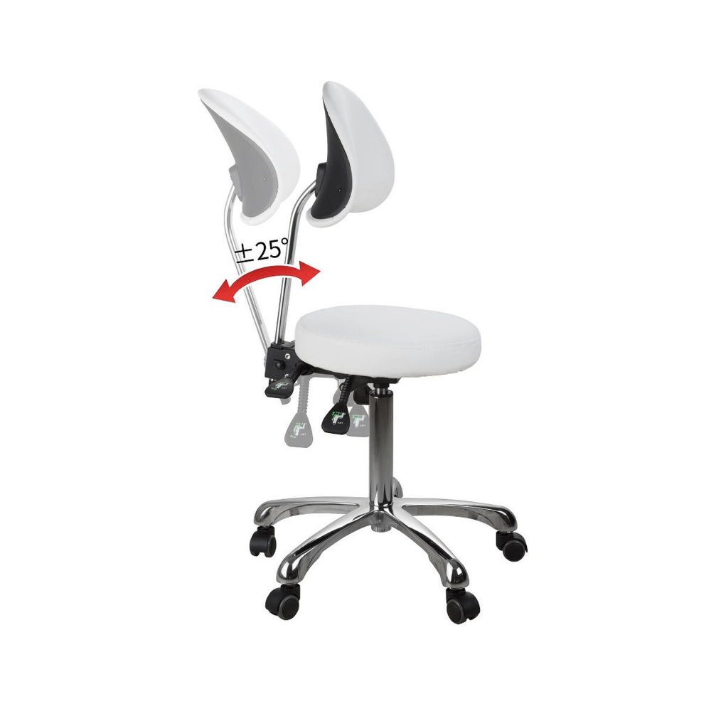 Silverfox Rolling Stool with Back Support 1025D - GreenLife - stool