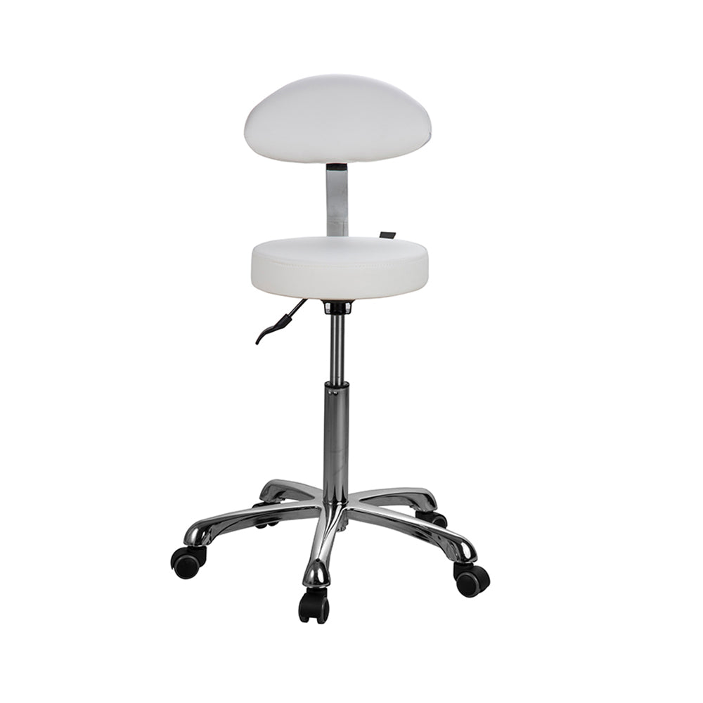 Silverfox Beauty Salon Rolling Stool With Backrest 1023Ab2 - Greenlife - Silverfox Stools