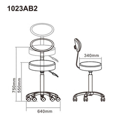 Silverfox Beauty Salon Rolling Stool With Backrest 1023Ab2