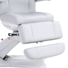 SilverFox 2246BN Electric 4 - Motor Examination Esthetician Chair with Position Memory Function - GreenLife -