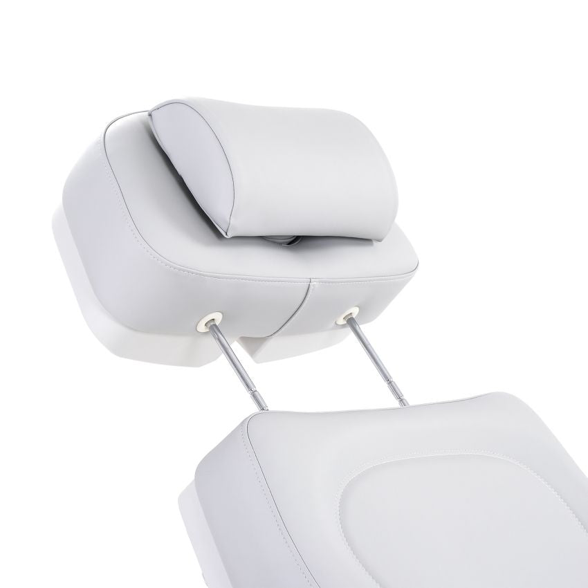 SilverFox 2246BN Electric 4 - Motor Examination Esthetician Chair with Position Memory Function - GreenLife -