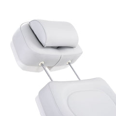 SilverFox 2246BN Electric 4 - Motor Examination Esthetician Chair with Position Memory Function - GreenLife -