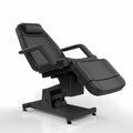 Silverfox Greman 2 Motors Electric Medi Spa / Facial SPA Chair 2219B 2-motor