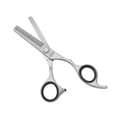 Bpx Pro 200 Thinning Shears 6" (Silver) Bp-P2Ts-6