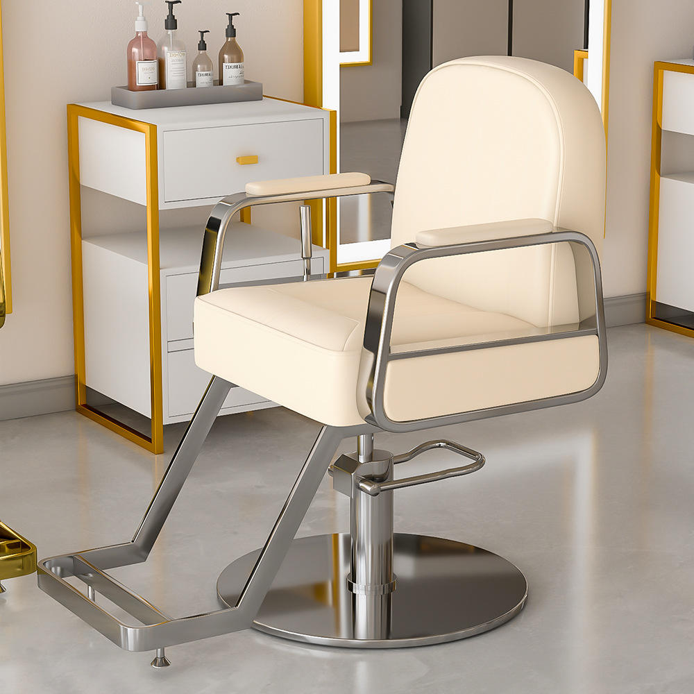 Modern All Purpose Hydraulic Salon Swiveling Styling Chair