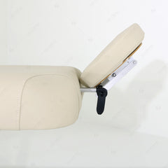 SilverFox German 2-motor Electric Massage Bed Table (Silver fox 2274A) with Foot controller or Hand controller