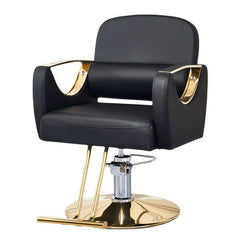 Chaise de style hydraulique tout usage moderne - 002