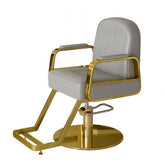 Chaise de style hydraulique tout usage moderne - 003
