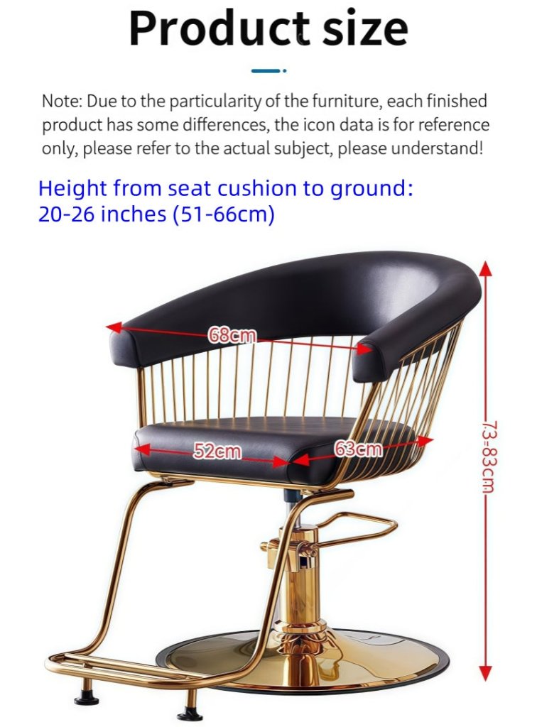 Hair Salon hairdressers Styling Chair Adjustable multifunctional Customers Chair - GreenLife - Styling Chair