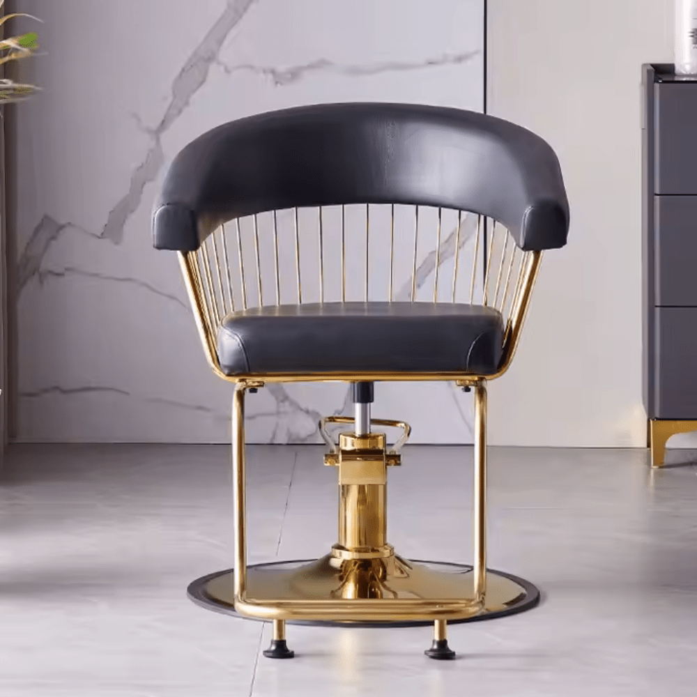 Hair Salon hairdressers Styling Chair Adjustable multifunctional Customers Chair - GreenLife - Styling Chair