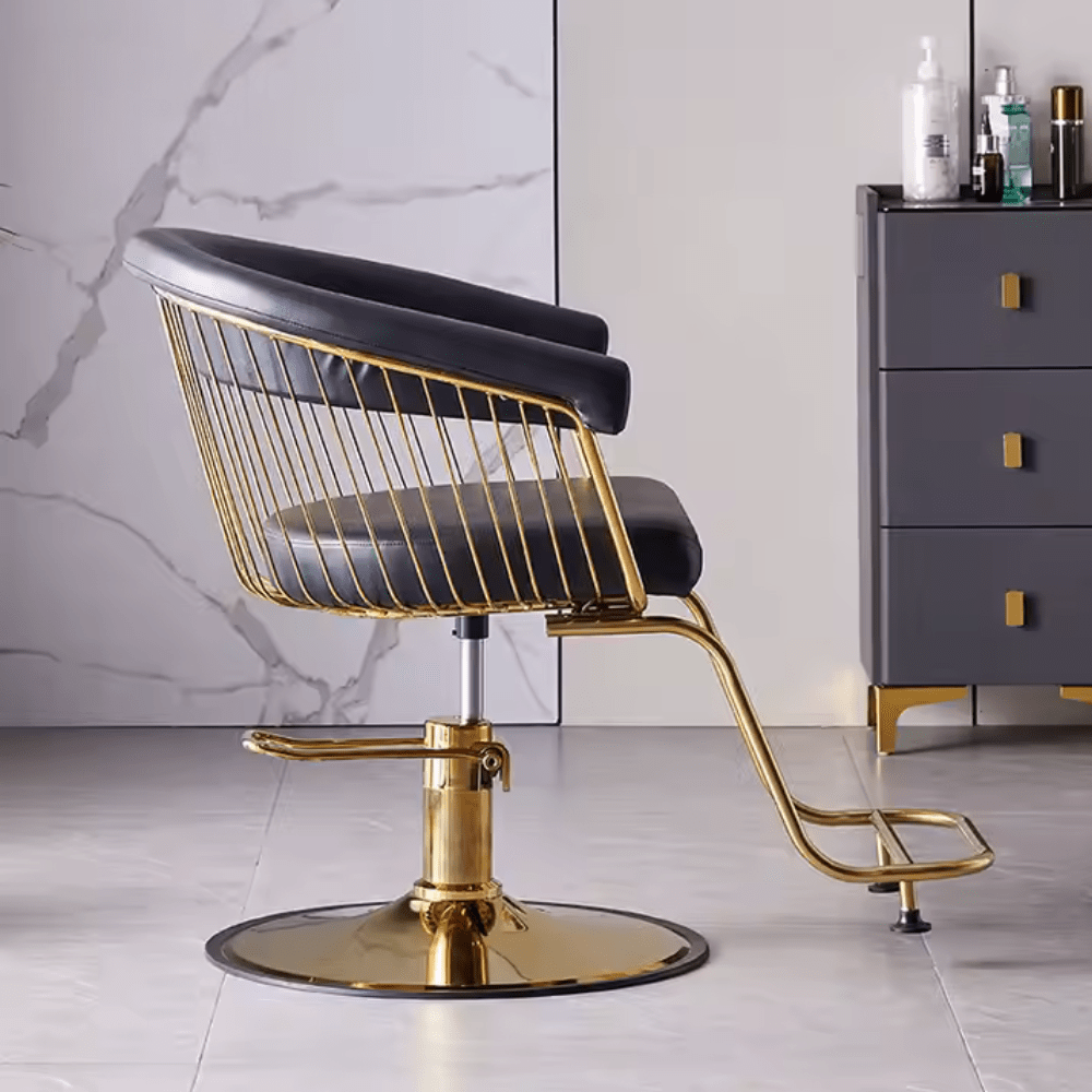 Hair Salon hairdressers Styling Chair Adjustable multifunctional Customers Chair - GreenLife - Styling Chair