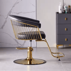 Hair Salon hairdressers Styling Chair Adjustable multifunctional Customers Chair - GreenLife - Styling Chair