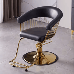 Hair Salon hairdressers Styling Chair Adjustable multifunctional Customers Chair - GreenLife - Styling Chair