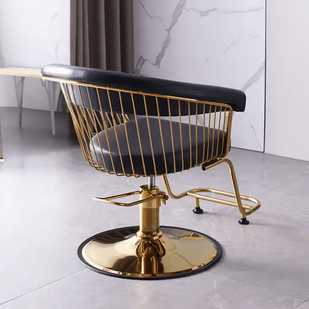 Hair Salon hairdressers Styling Chair Adjustable multifunctional Customers Chair - GreenLife - Styling Chair