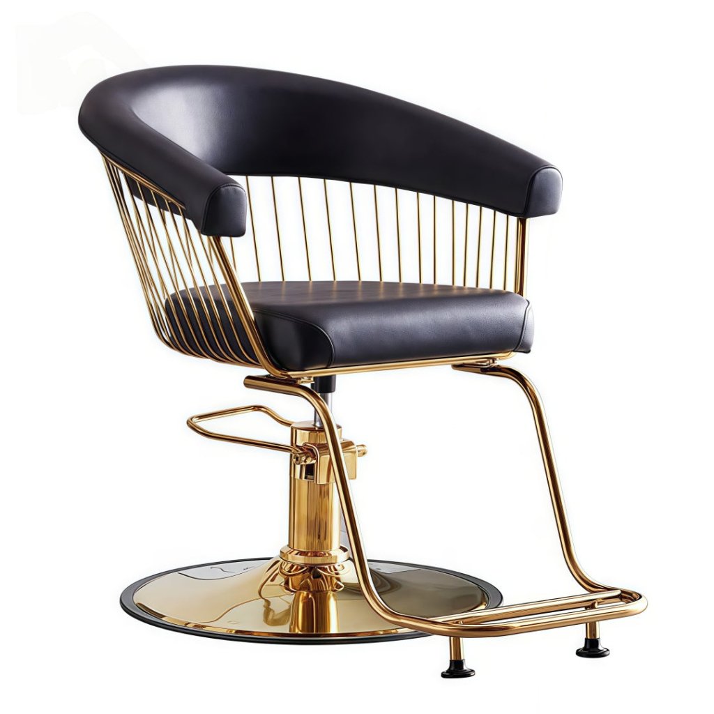 Hair Salon hairdressers Styling Chair Adjustable multifunctional Customers Chair - GreenLife - Styling Chair