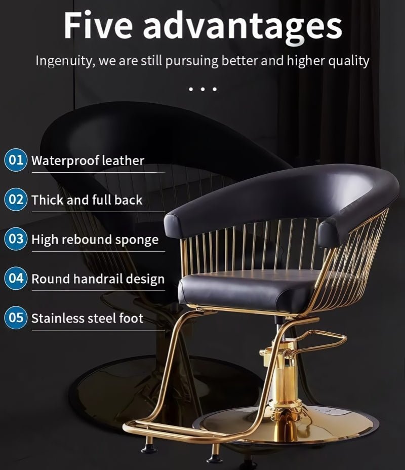 Hair Salon hairdressers Styling Chair Adjustable multifunctional Customers Chair - GreenLife - Styling Chair