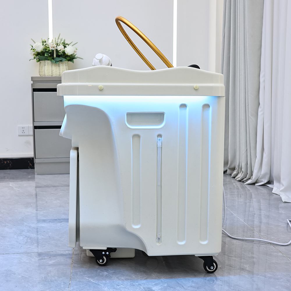 Latest Portable Beauty Salon Shampoo Basin Integrated Water Storage and Wastewater - Greenlife - Shampoo Unit