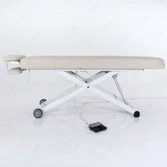 Silverfox Controller for 2274/2274A/2274B - GreenLife - Accessories