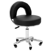 Deluxe Hydraulic Swivel Stool with Backrest - RSWB391/2/3 - GreenLife-Rolling Stool