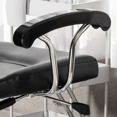 Advance All Purpose Hydraulic Styling Chair - 8719 - GreenLife-Styling Chair