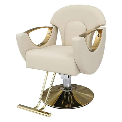 Modern All Purpose Hydraulic Styling Chair - 002 - GreenLife-Styling Chair