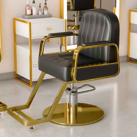 Modern All Purpose Hydraulic Styling Chair - 003 - GreenLife-Styling Chair
