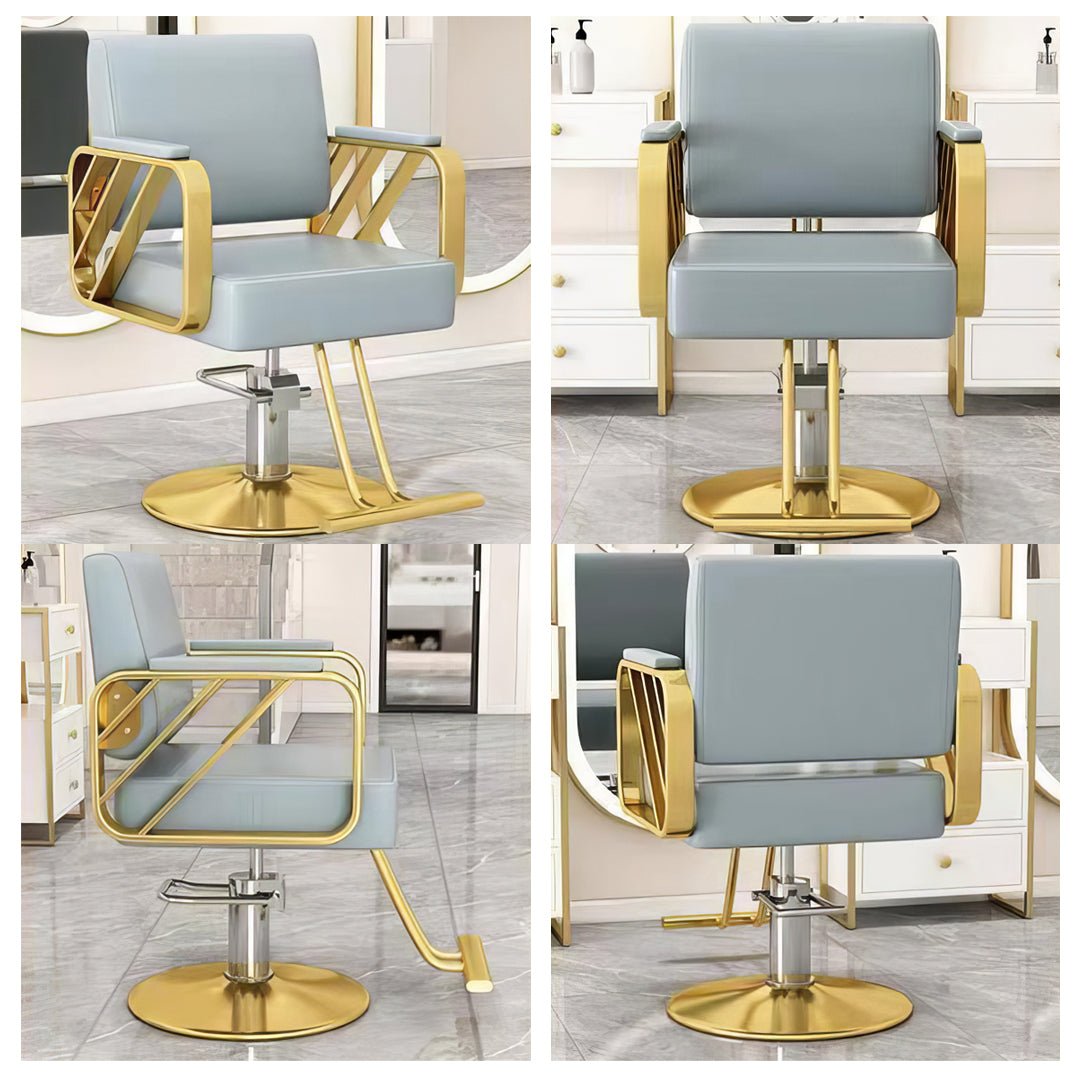 Modern All Purpose Hydraulic Styling Chair - 022 - GreenLife-Styling Chair