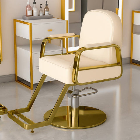 Modern All Purpose Hydraulic Styling Chair - 003 - GreenLife-Styling Chair