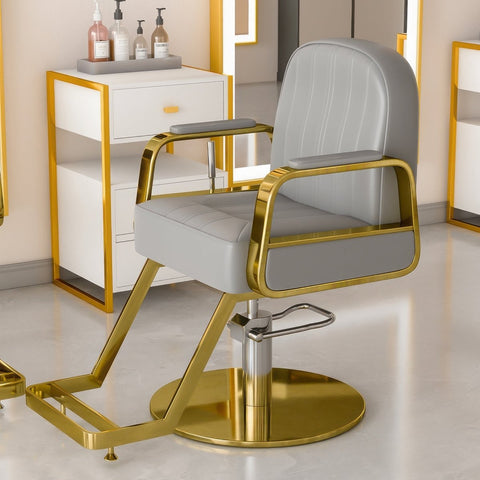Modern All Purpose Hydraulic Styling Chair - 003 - GreenLife-Styling Chair