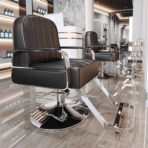 Modern All Purpose Hydraulic Salon Swiveling Styling Chair - GreenLife - Styling Chair
