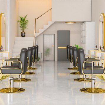 Modern All Purpose Hydraulic Salon Swiveling Styling Chair - GreenLife - Styling Chair