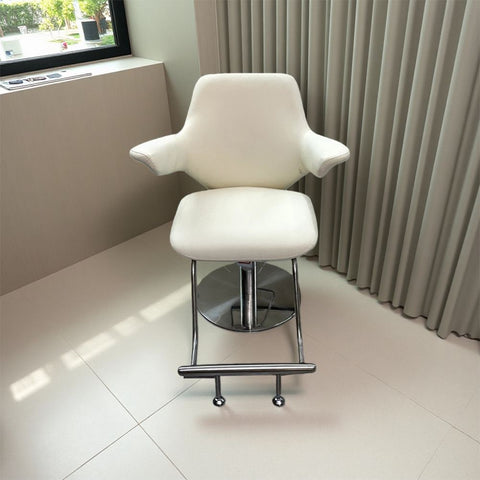 Modern Hydraulic Styling Chairs for Beauty Salon - Greenlife - Styling Chairs