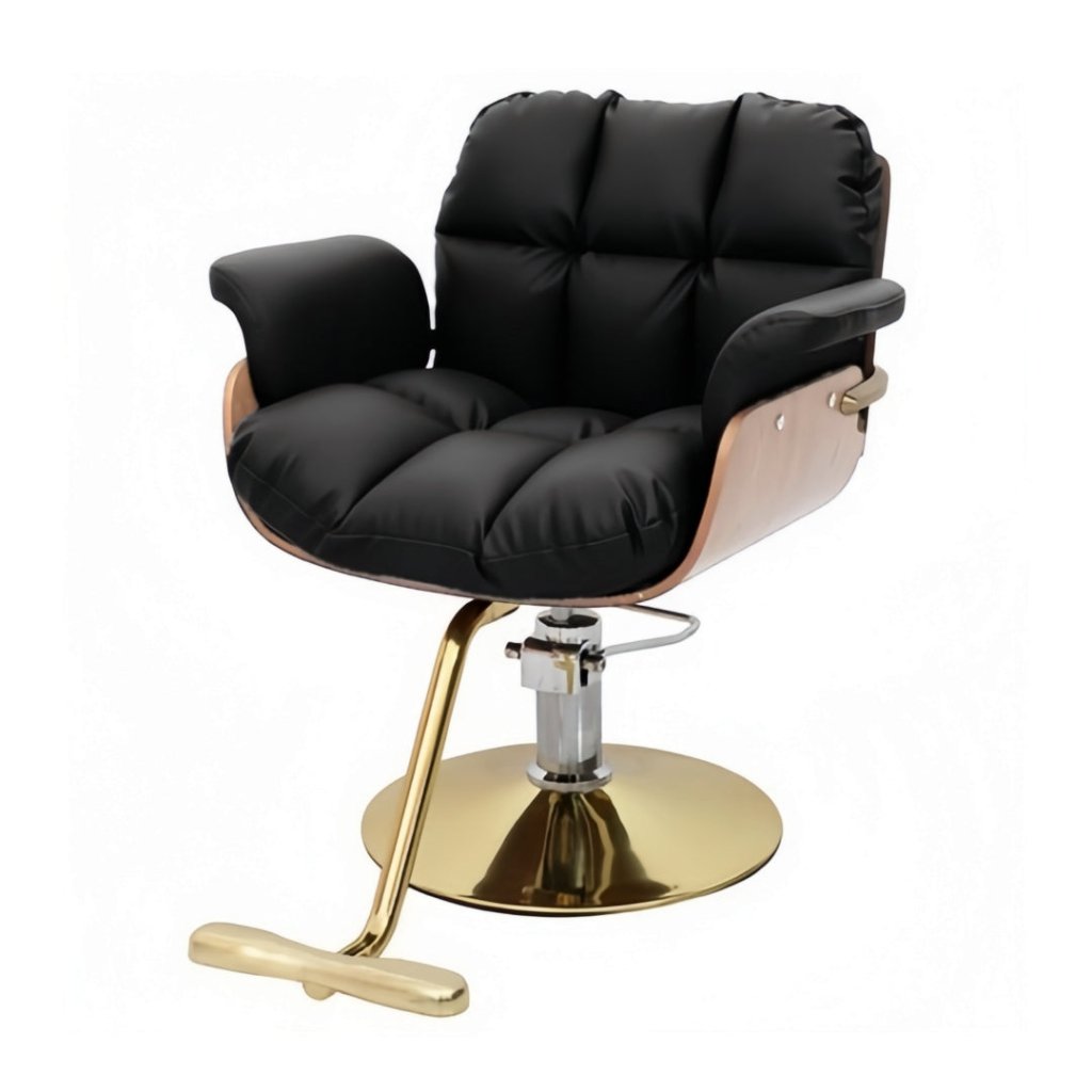 Greenlife Modern All Purpose Hydraulic Styling Chair - J096 - GreenLife - Styling Chair