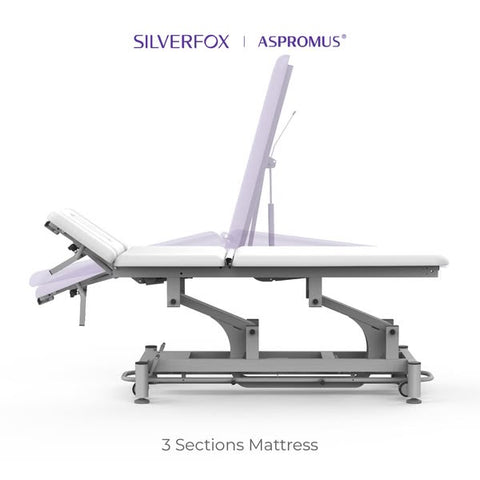 Silverfox ® 2 Motors Electric Massage Table Carol bed 2211 - 304 for Professional clinic - GreenLife - Electric Massage Bed