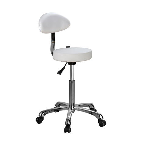Silverfox Beauty Salon Rolling Stool With Backrest 1023Ab2 - Greenlife - Silverfox Stools