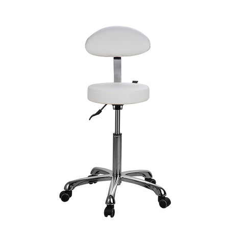 Silverfox Beauty Salon Rolling Stool With Backrest 1023Ab2 - Greenlife - Silverfox Stools