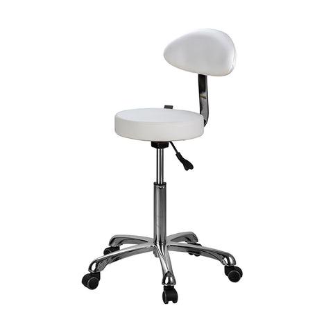 Silverfox Beauty Salon Rolling Stool With Backrest 1023Ab2 - Greenlife - Silverfox Stools