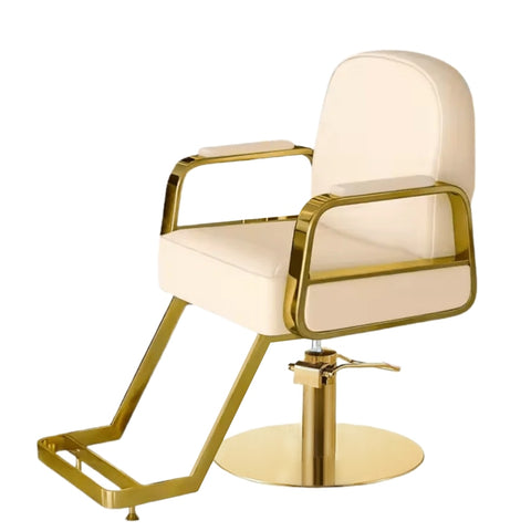 Modern All Purpose Hydraulic Salon Swiveling Styling Chair