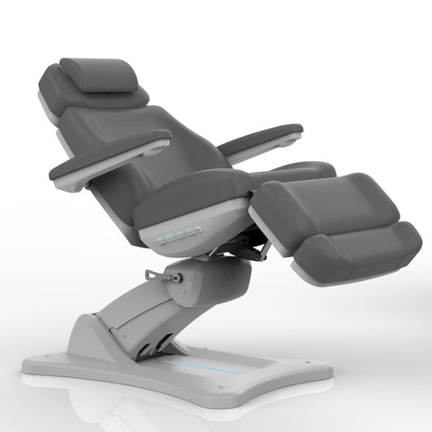 SilverFox 2246BN Electric 4 - Motor Examination Esthetician Chair with Position Memory Function - GreenLife - Electric Massage Bed