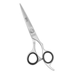 Bpx Pro 200 Styling Scissors 6" (Silver) Bp-P2C-6